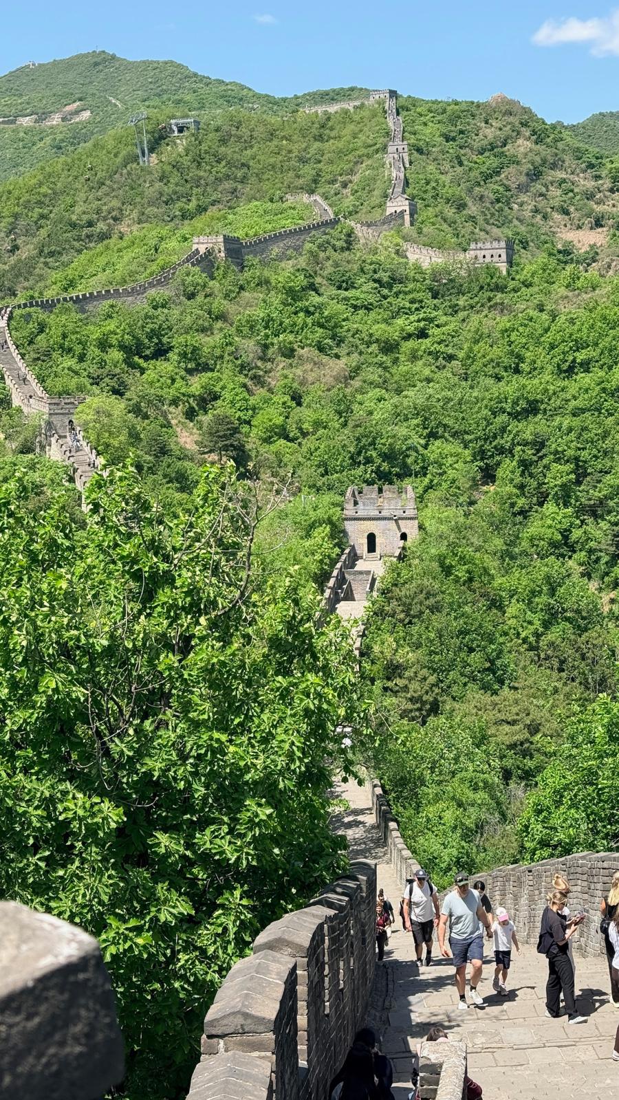 Tur Görseli